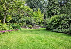 Optimiser l'expérience du jardin à Champlecy
